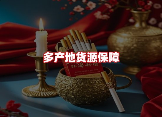 专业团队